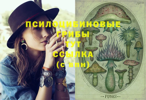 герыч Алексин