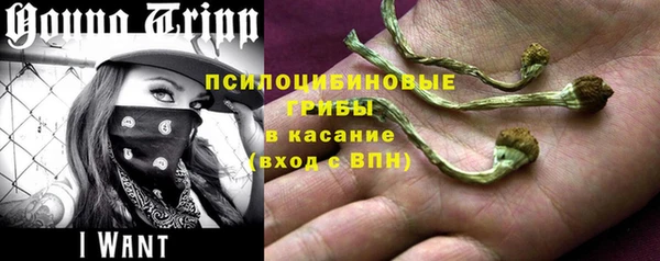 mdpv Алзамай