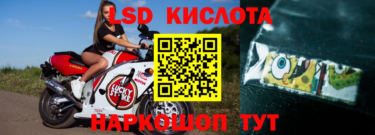 mega вход  Вход с VPN  Лсд 25 экстази кислота  Калач-на-Дону  ЛСД экстази ecstasy 