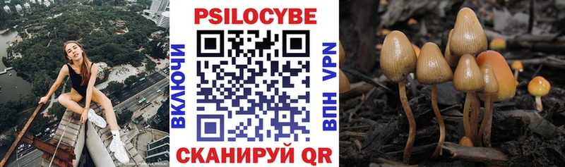как найти закладки  Калач-на-Дону  Псилоцибиновые грибы мухоморы 