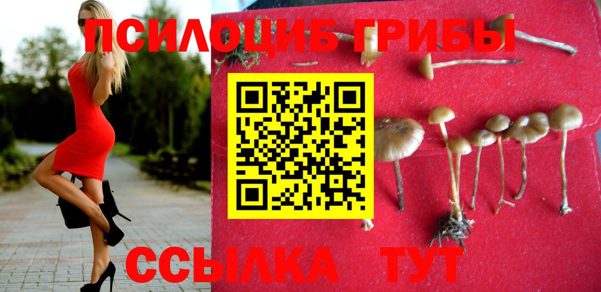 Псилоцибиновые грибы Psilocybe  Вход с VPN  Калач-на-Дону 
